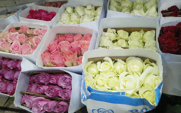 Por incremento de precios floristas reportan bajas ventas este San Valentín  - El Sol de Toluca | Noticias Locales, Policiacas, sobre México, Edomex y el  Mundo