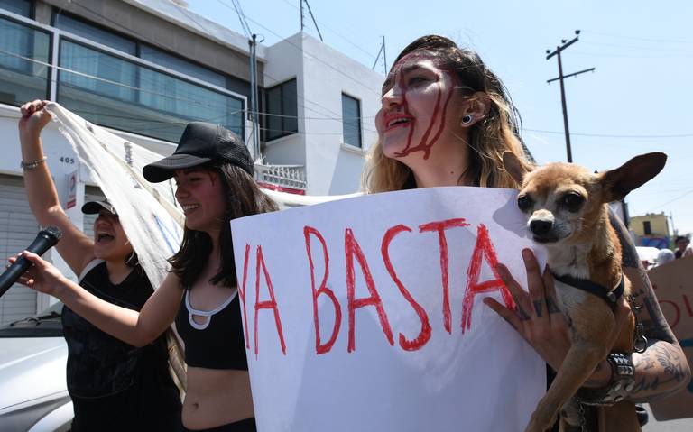 Asociaciones burlan norma contra maltrato animal al usar mascotas en  manifestaciones - El Sol de Toluca | Noticias Locales, Policiacas, sobre  México, Edomex y el Mundo