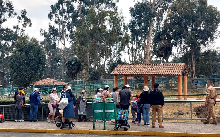 Inauguran el parque Chimalpark con dinosaurios gigantes - El Sol de Toluca  | Noticias Locales, Policiacas, sobre México, Edomex y el Mundo